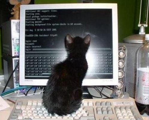 Exponential Growth in Solidity with Fixed-Point Math